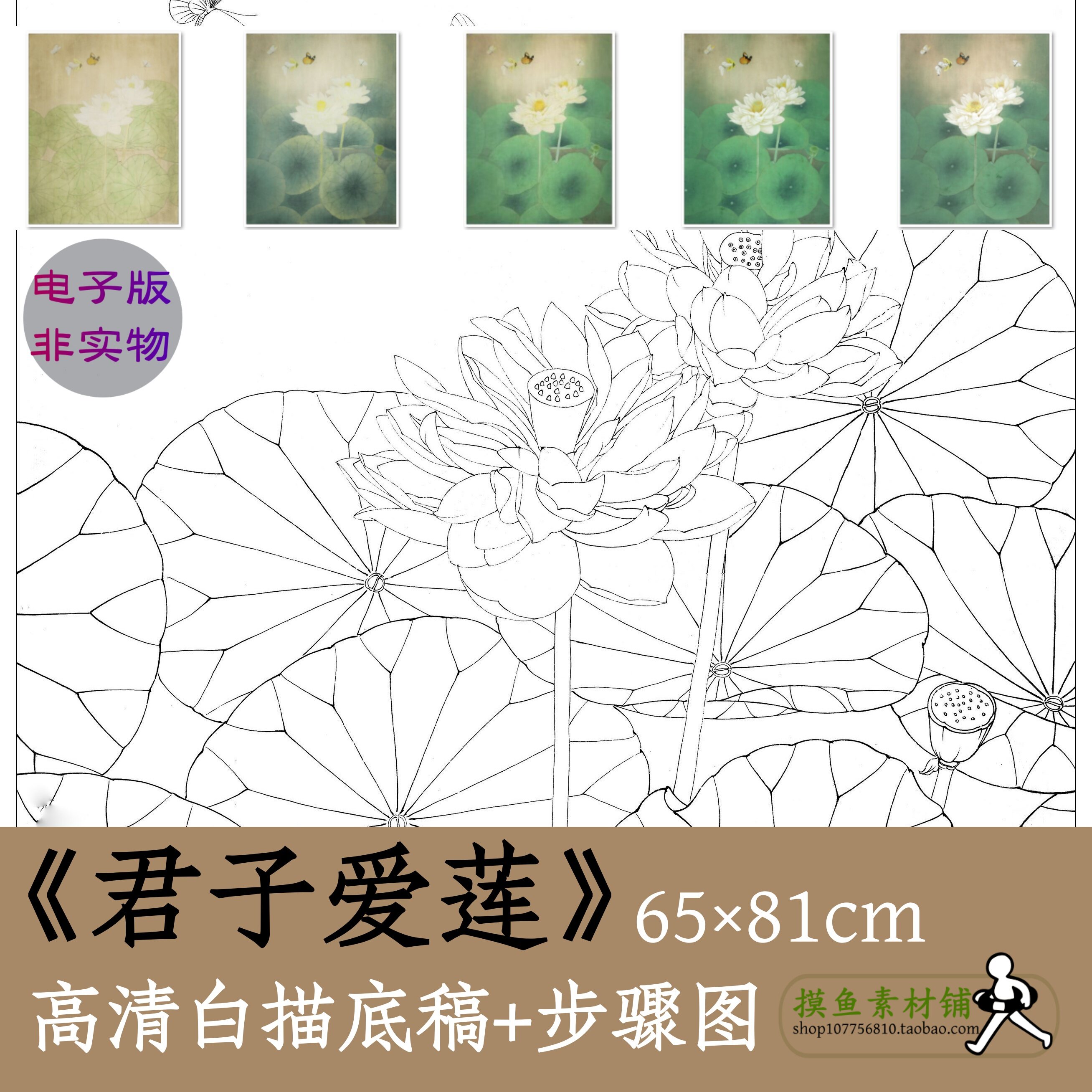 国画工笔花鸟画白描底稿电子版x047《君子爱莲