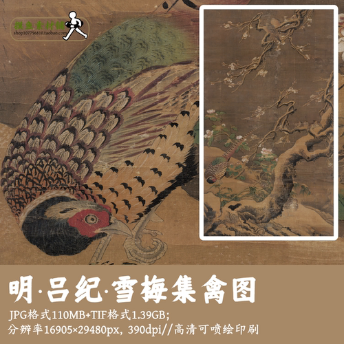 明吕纪/雪梅集禽图/中国画古画原图工笔禽鸟锦鸡图电子版G17028