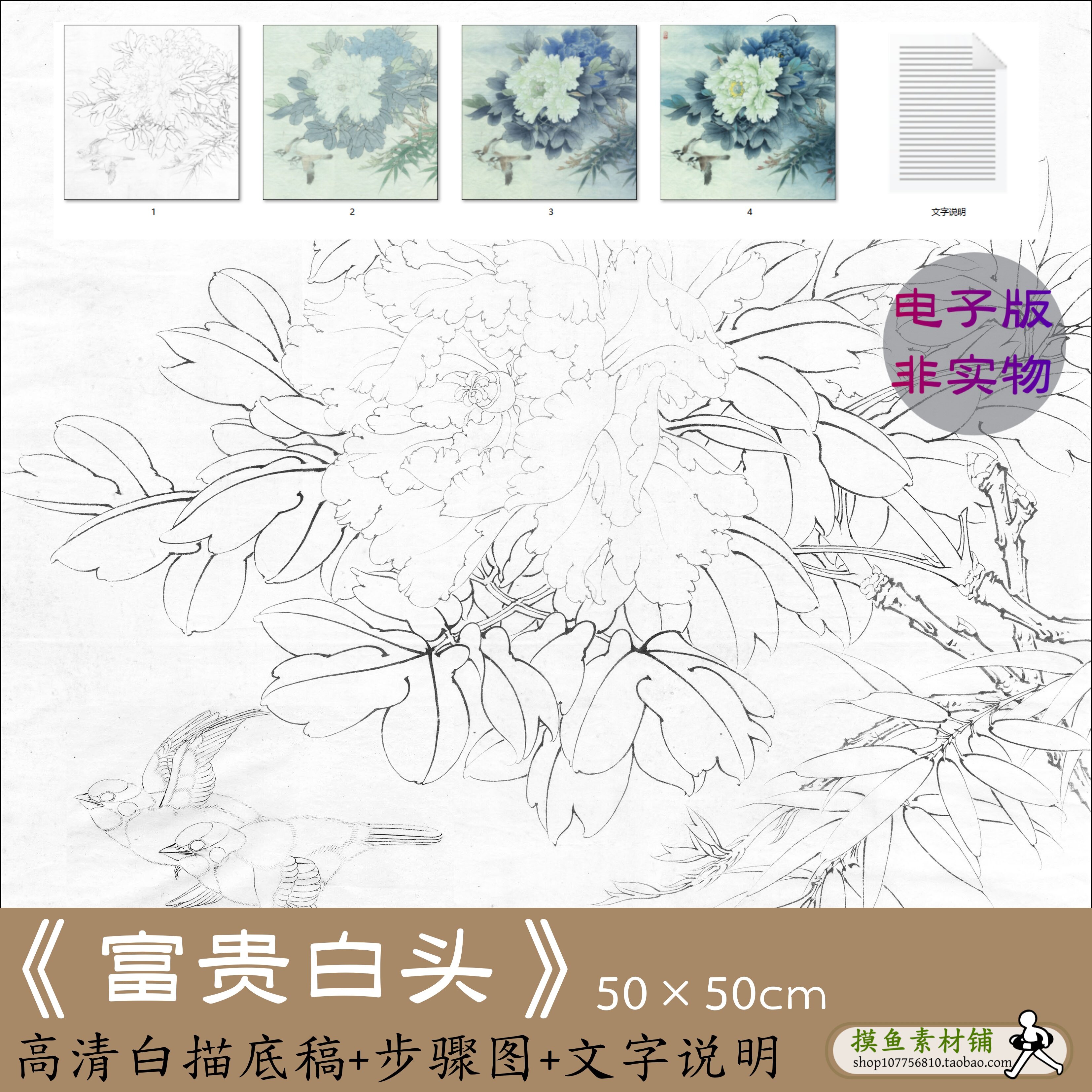 有步骤图有说明教程工笔花鸟国画牡丹白描底稿电子版初学临摹x191