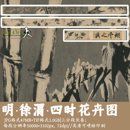 明徐渭/四时花卉图/中国画古画原图水墨花卉电子版长卷素材gd1276