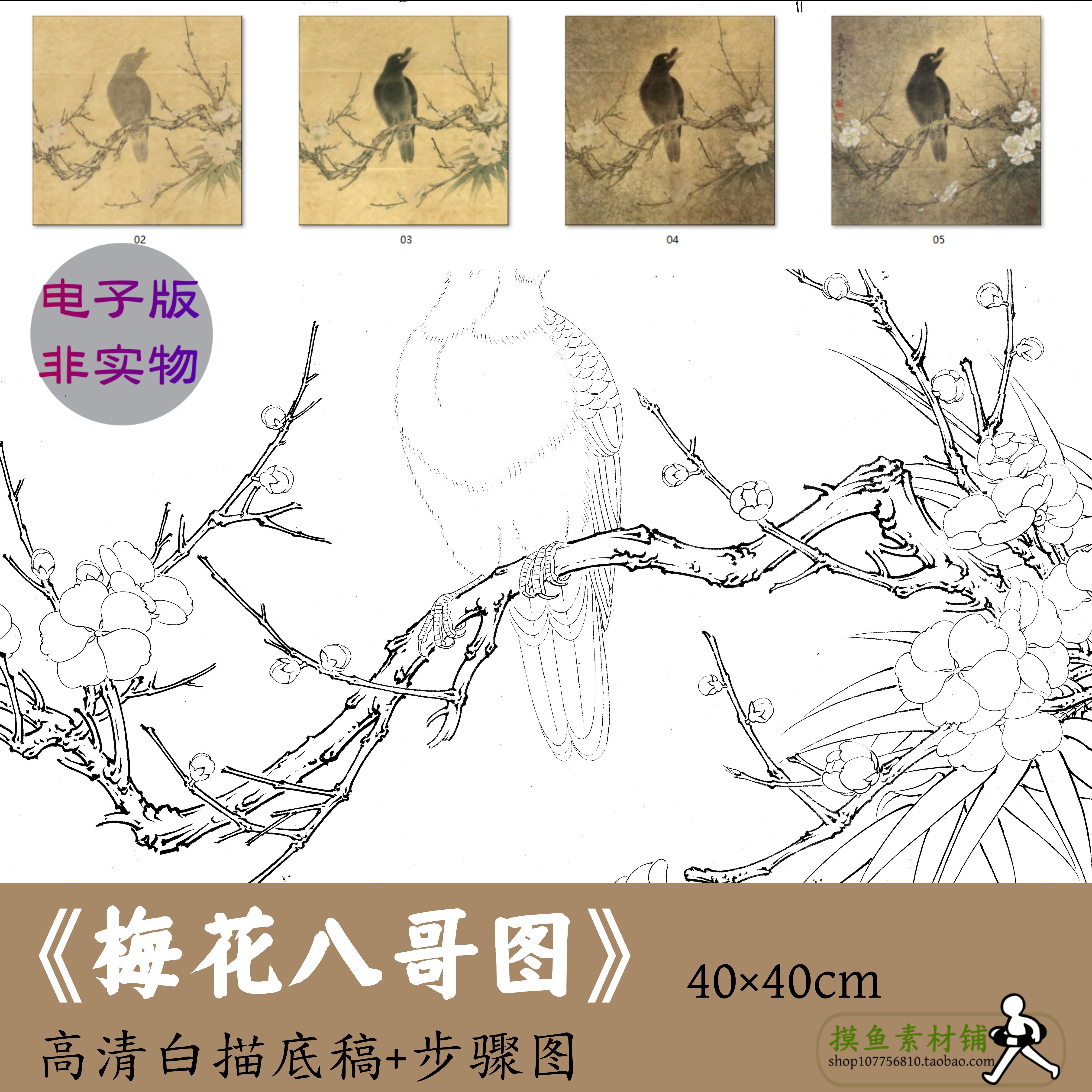 高清宋画梅花八哥图电子版白描临摹勾线稿工笔画国画素材带步骤图