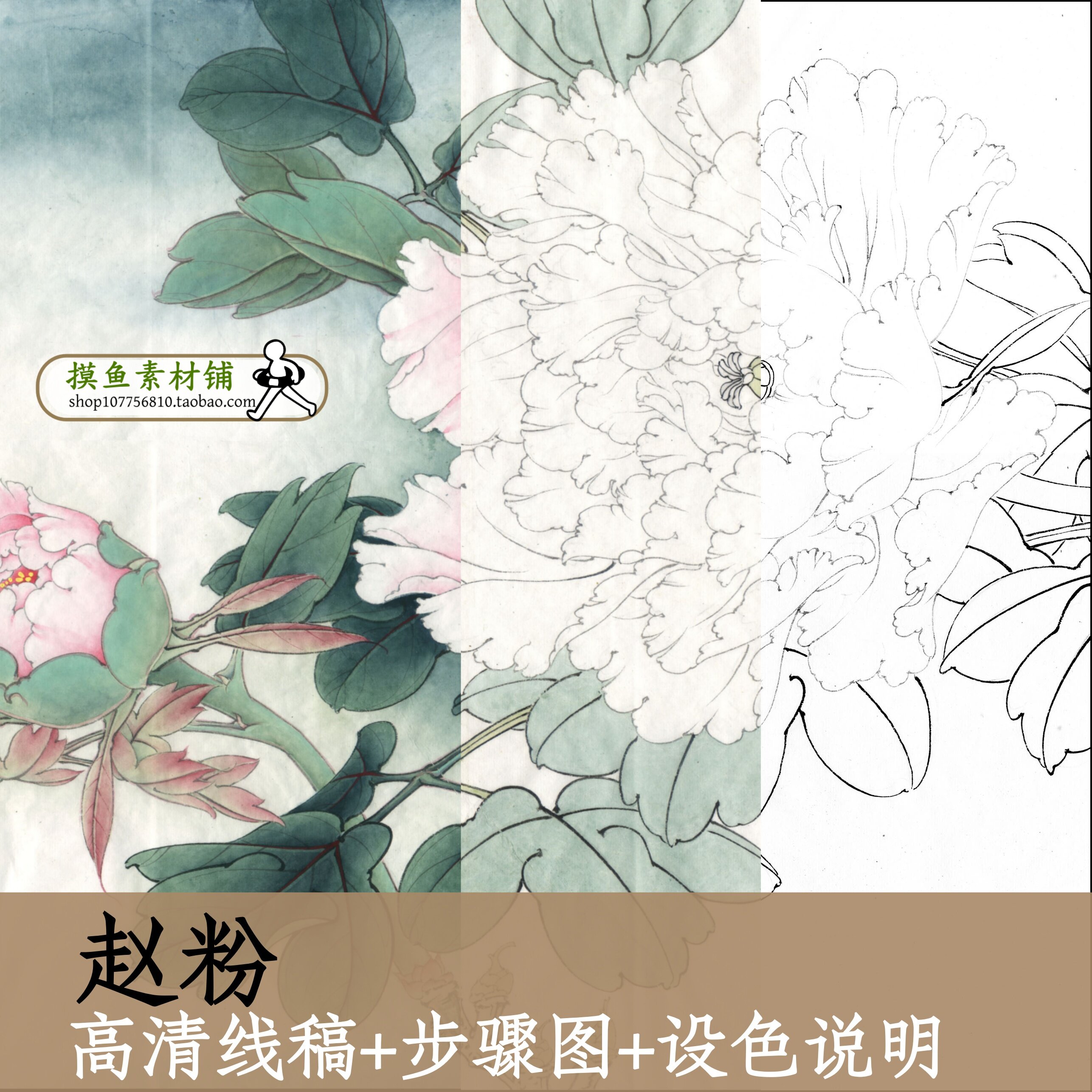 赵粉牡丹图/高清白描底稿+步骤图电子版/国画工笔牡丹画临摹x243