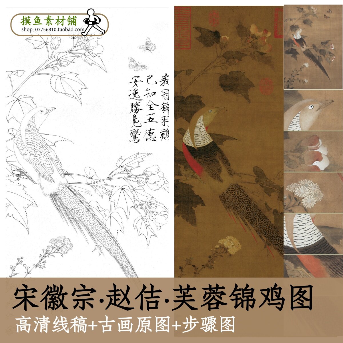 宋徽宗赵佶芙蓉锦鸡图白描掉+彩图+临摹过程图步骤教程素材x154