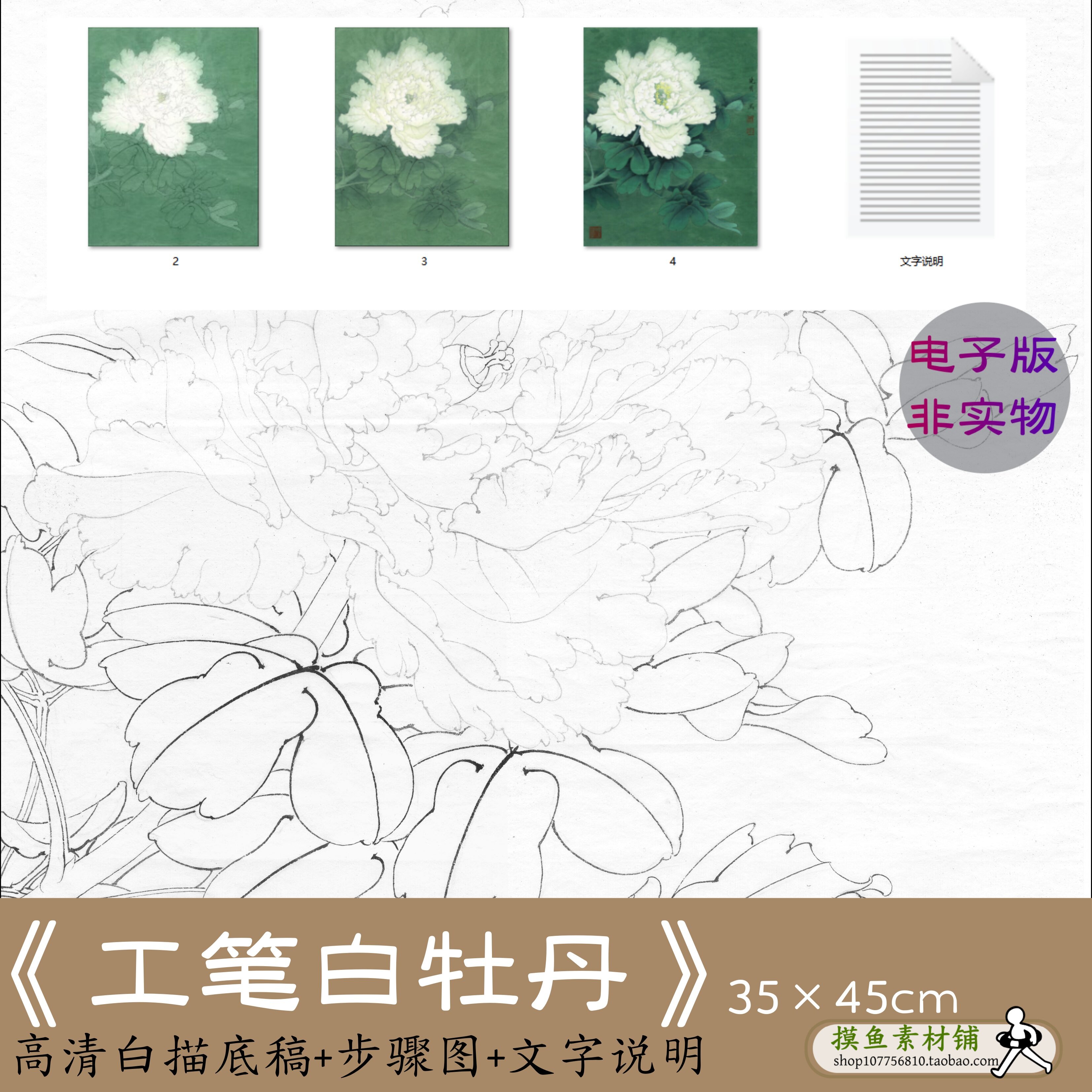 工笔牡丹花 白描工笔画底稿高清电子版 李晓明初学者临摹素材x193