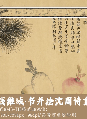 清钱维城/书并绘沈周诗意图/中国画写生萝卜芦笋锦鸡图gd17531