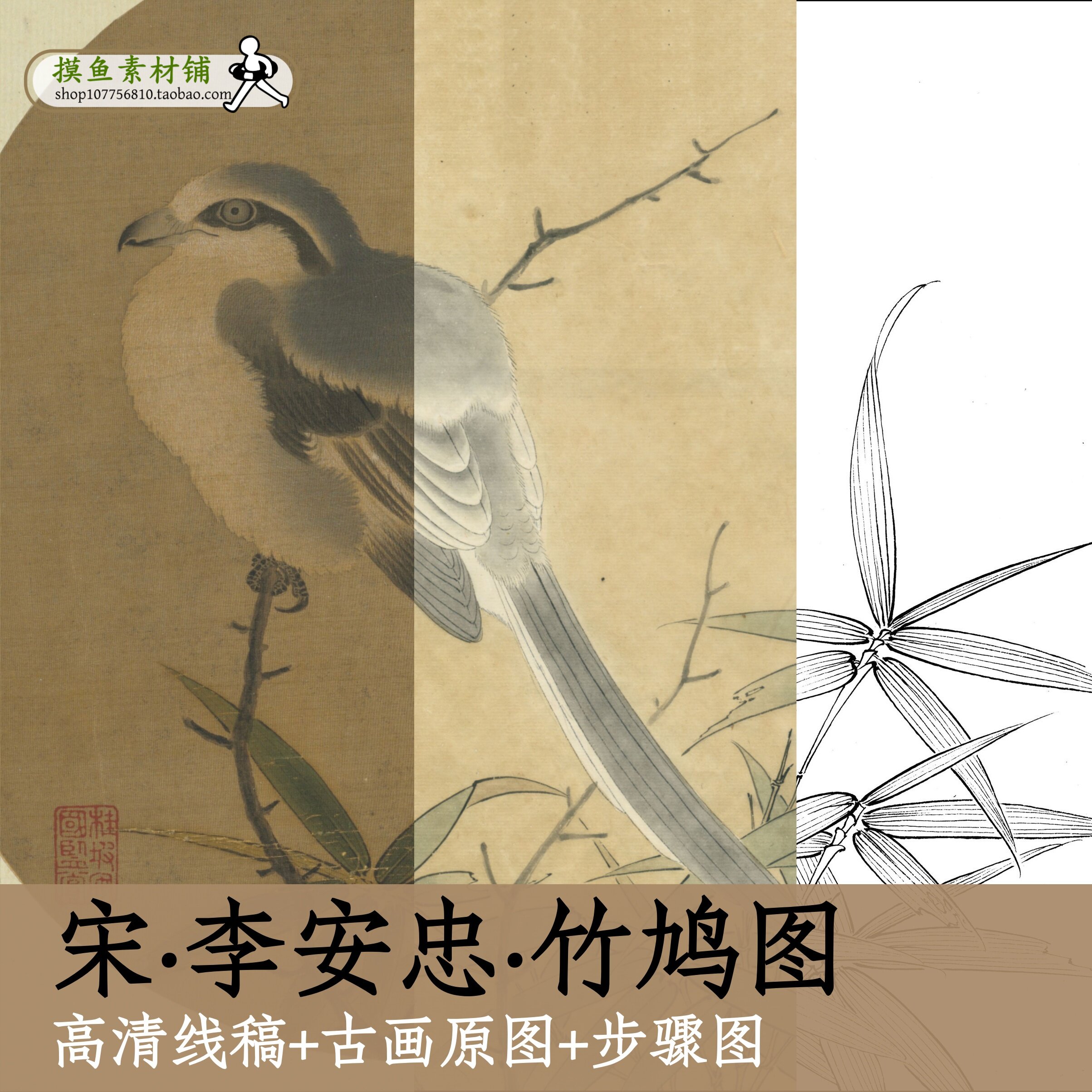 竹鸠图白描勾线稿电子版+彩图+临摹步骤图/宋画教程学习素材x166