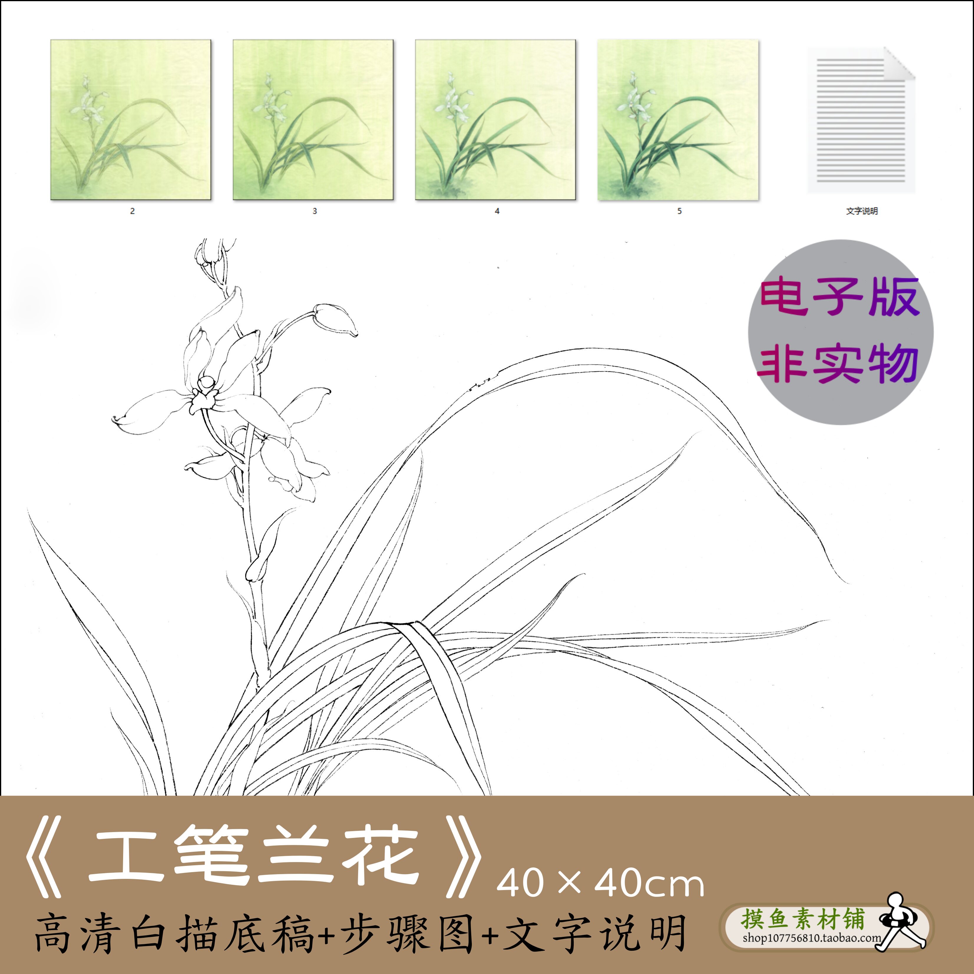 工笔兰花白描底稿高清电子版初学者勾线稿有步骤图有说明教程x195