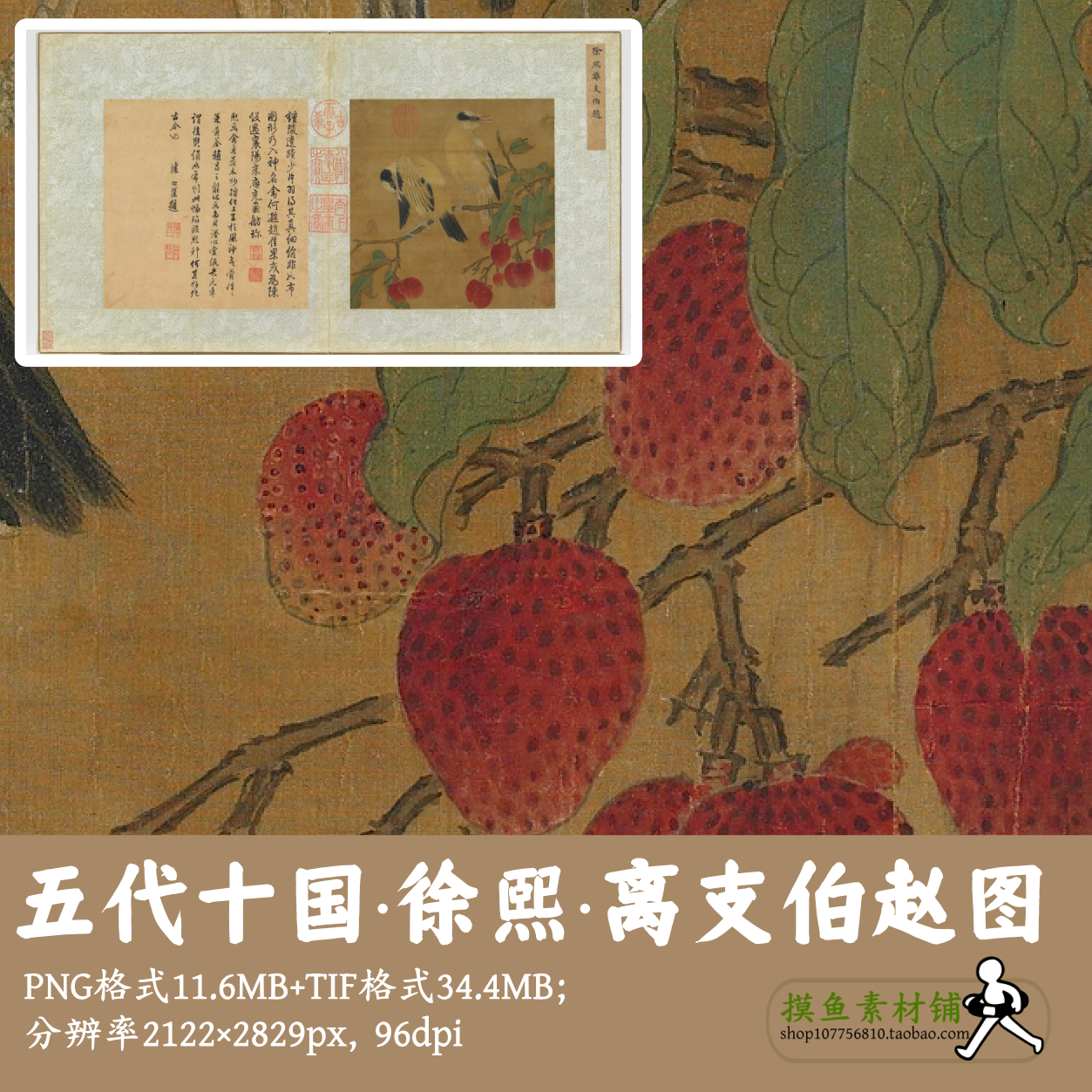 五代徐熙/离支伯赵图/工笔花鸟荔枝图电子版素材tif古画g13513