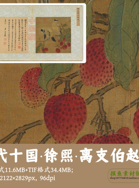 五代徐熙/离支伯赵图/工笔花鸟荔枝图电子版素材tif古画g13513