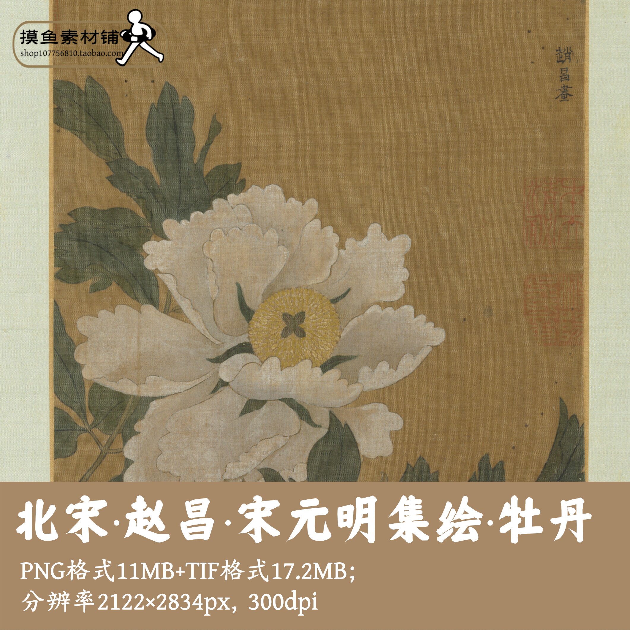 赵昌宋元明集绘牡丹图高清电子版/宋画宋人小品装饰画素材g14228