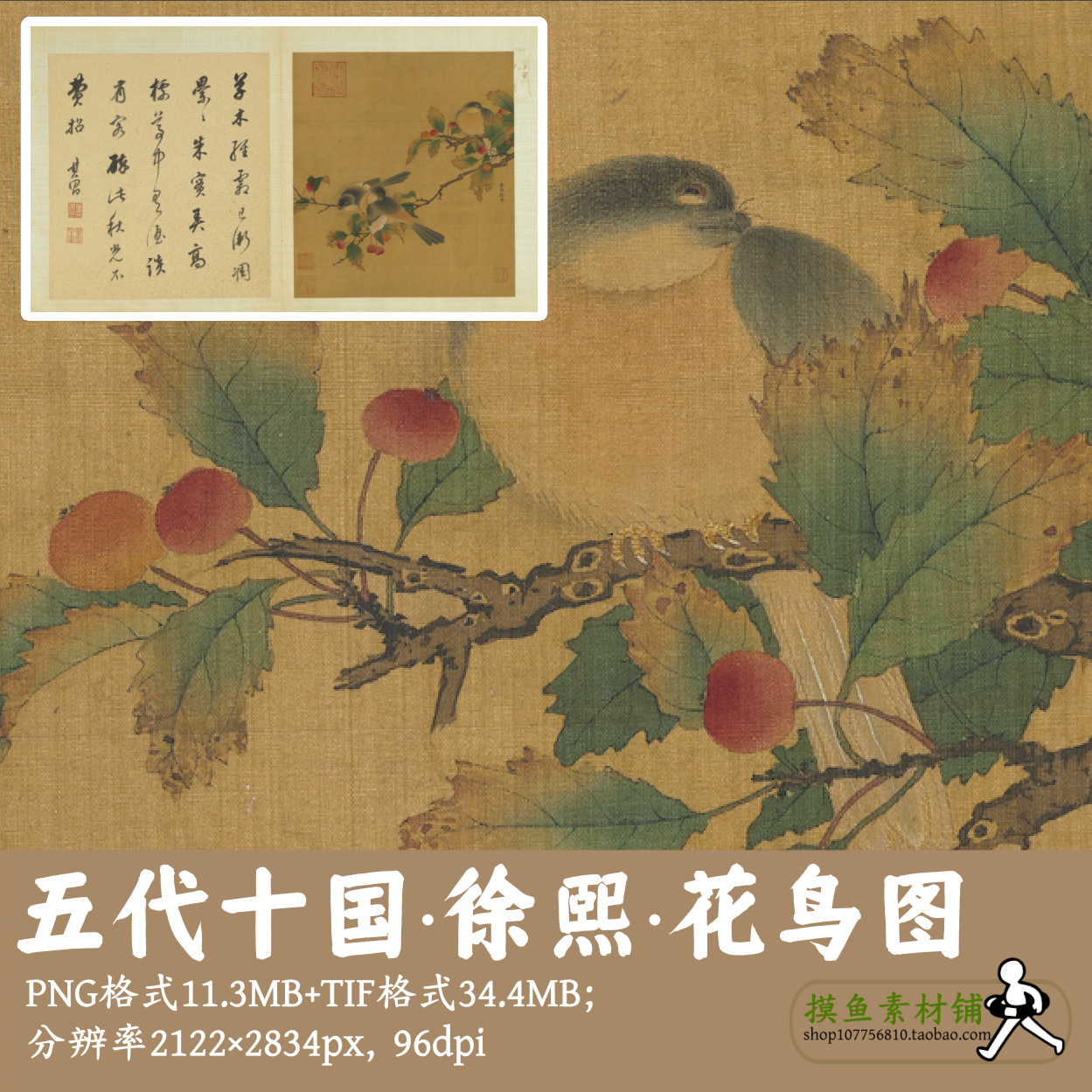 五代十国徐熙/花鸟图/中国画工笔花鸟图页电子版工笔画素材g13511