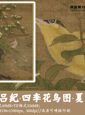 明吕纪/四季花鸟图·夏/中国画工笔花鸟大图古画原图电子版G1703