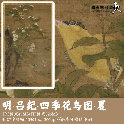 明吕纪/四季花鸟图·夏/中国画工笔花鸟大图古画原图电子版G1703