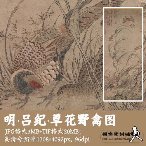 明代吕纪草花野禽图电子版图片/中国画鹌鹑图古画素材原图G17033