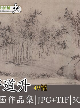 管道升画集 赵孟頫妻子管仲姬作品合集欧波亭图画竹子TIF大图G123