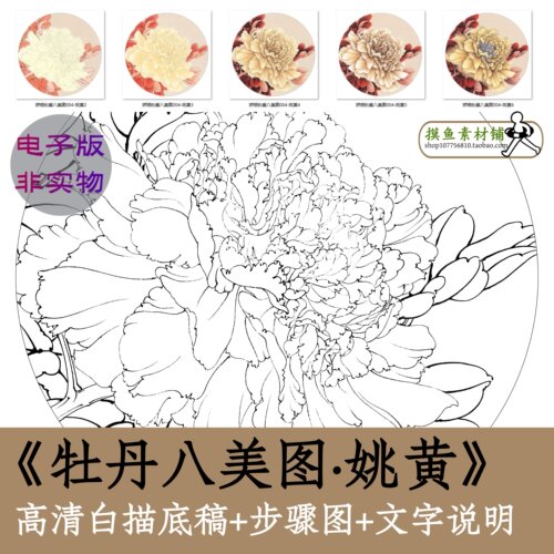 牡丹八美图之姚黄工笔牡丹白描电子图片x054