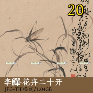 李鱓花卉二十开/传统国画小写意花鸟植物写生临摹图册电子版z135