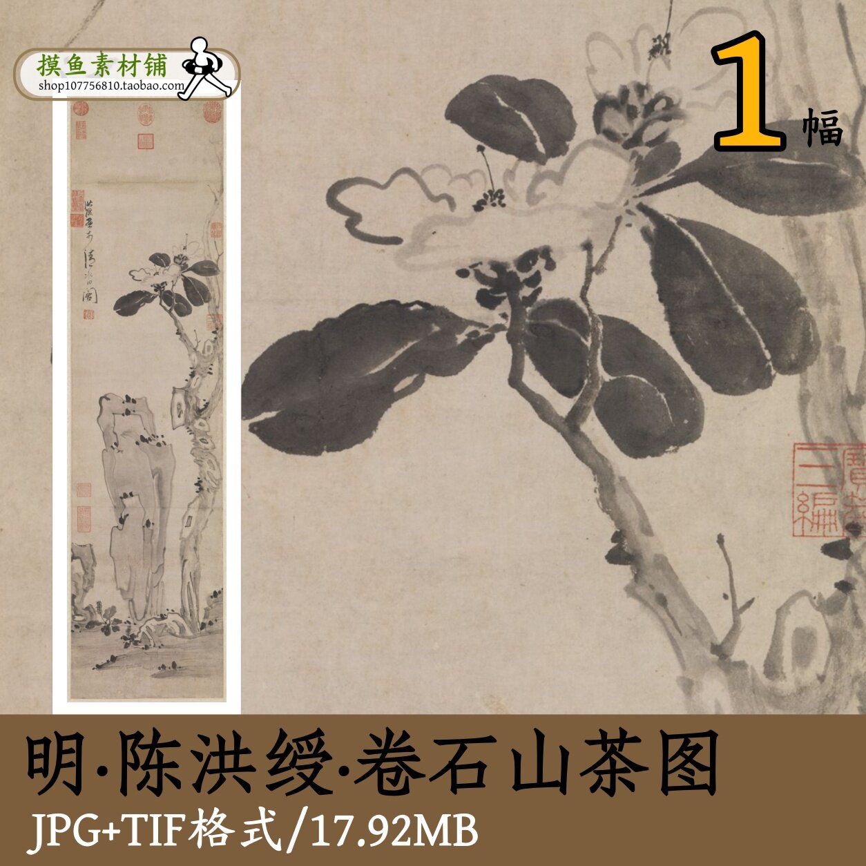 陈洪绶卷石山茶图/国画小写意工笔花卉图写生山茶图临摹gd10142