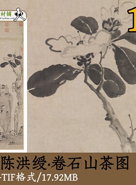 陈洪绶卷石山茶图/国画小写意工笔花卉图写生山茶图临摹gd10142