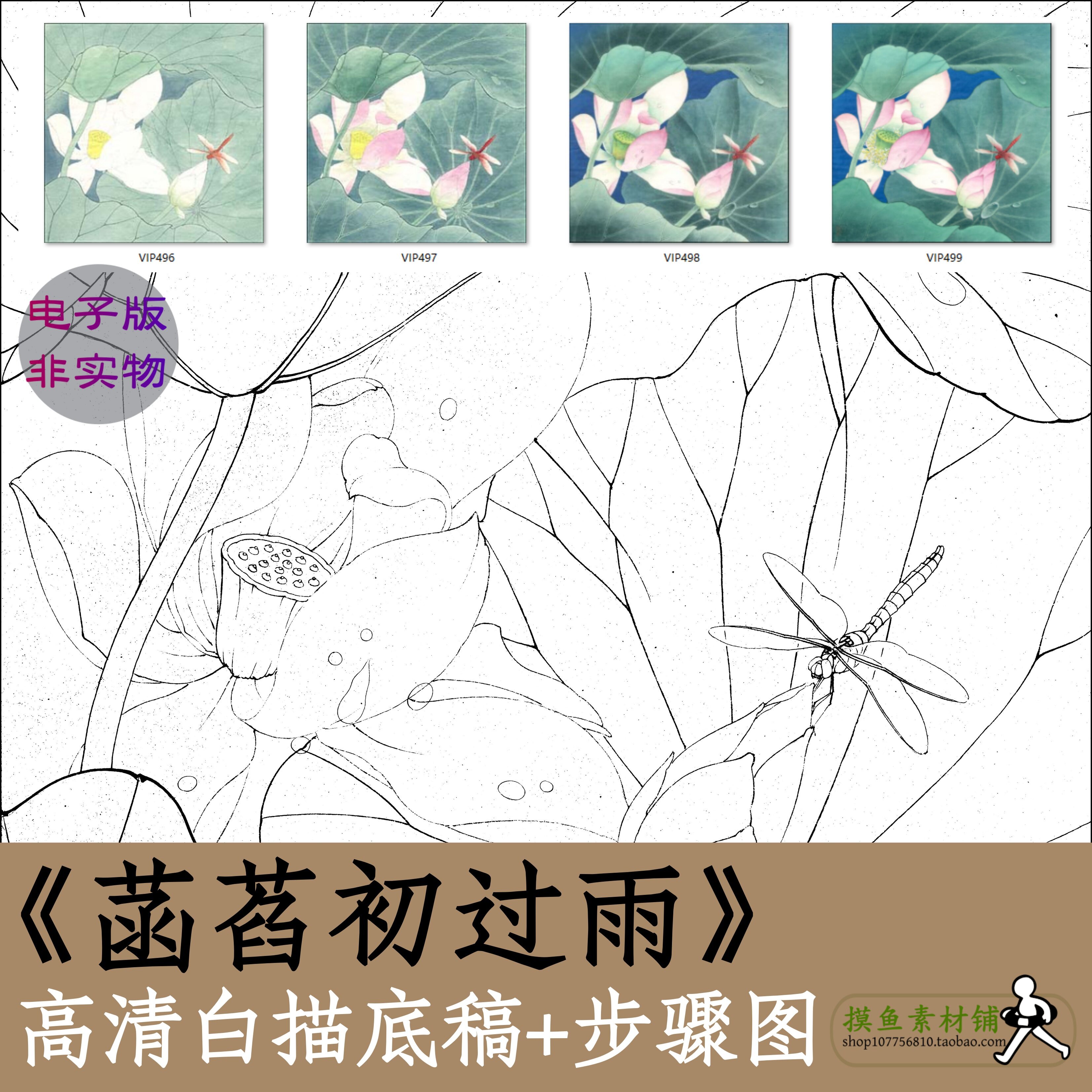 工笔画白描底稿电子版素材x029《菡萏初过雨