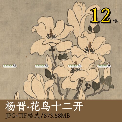 清 杨晋 花鸟十二开/写生花卉册小写意花鸟预览灵芝临摹素材Z160