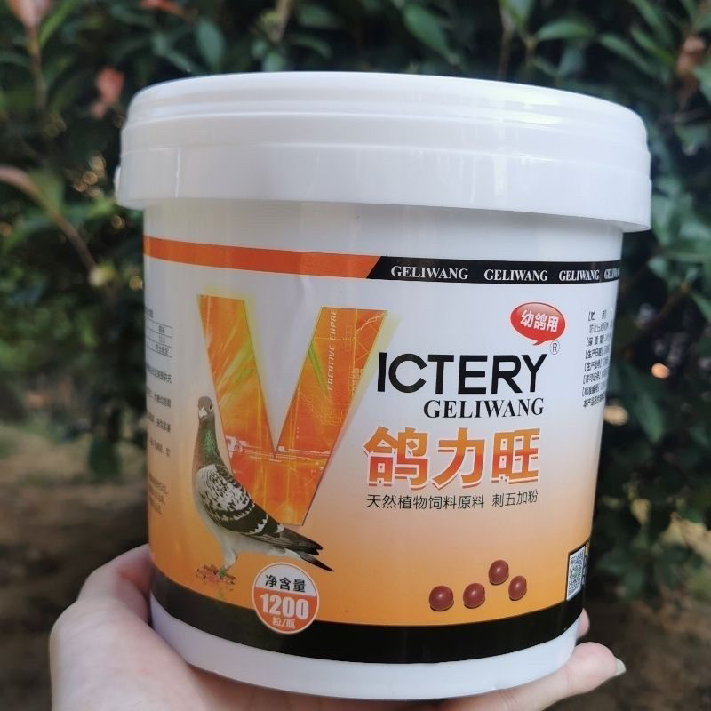 正品汉诺威鸽力旺育雏丸种幼鸽营养丸夺霸丸补充营养强骨骼促发育