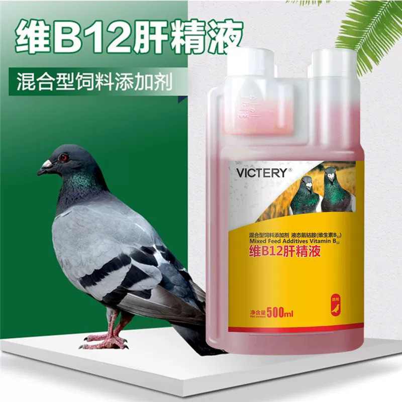 汉诺威维B12肝精液 信鸽用品赛鸽鹦鹉肝精补体能营养非鸽药鸽子药