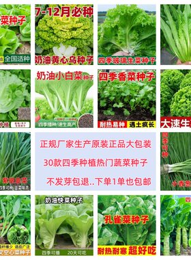 蔬菜种子生菜白菜韭菜香葱香菜空心菜木耳菜菠菜乌塌菜快菜孔雀菜
