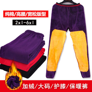 中老年护膝保暖裤女士加厚加绒冬加肥加大码衬裤棉裤护腿单件秋裤