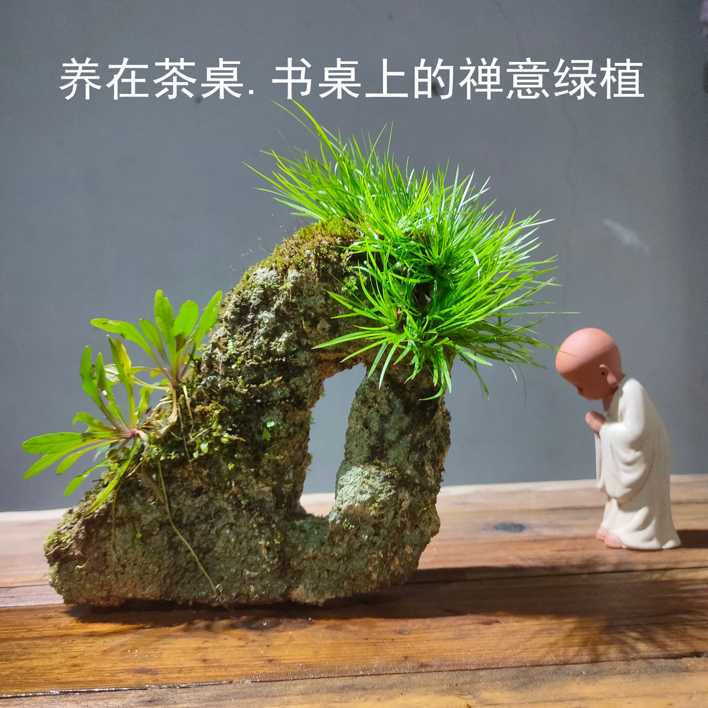 意境附石盆栽适合书桌茶台赏心