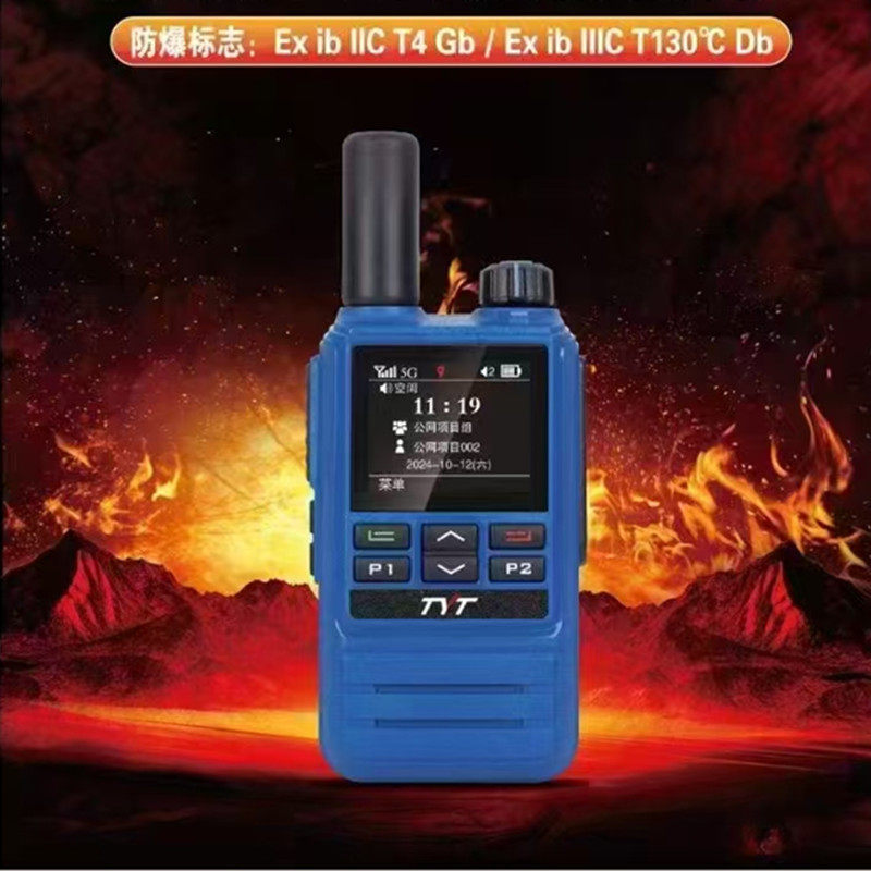 TYT特易通TP-590EX插卡公网对讲机5000公里加油站工地化工厂油田