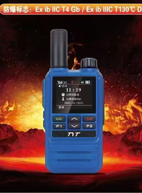 TYT特易通TP-590EX插卡公网对讲机5000公里加油站工地化工厂油田