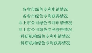 1991-2024上市公司专利数据申请获得授权绿色专利各省地级市专利