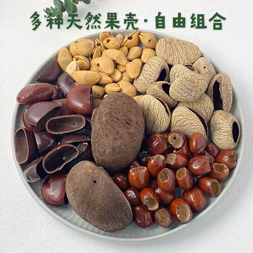 天然果壳diy材料包植物果壳