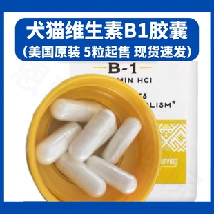 美国犬猫用维生素B1硫胺素片宠物神经炎肠胃消化道狗狗心血管营养