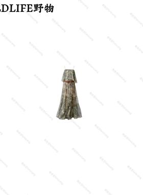 WILDLIFE｜复古晕染印花吊带连衣裙C-001M7591 （165以上拍）