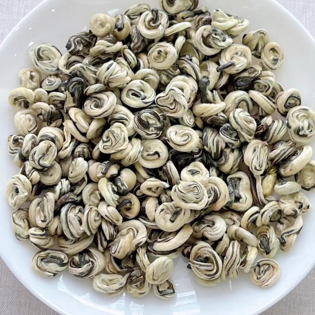 广西横县茉莉花茶浓香型玉螺王茉莉白玉螺早春新茶烘青茉莉花香茶