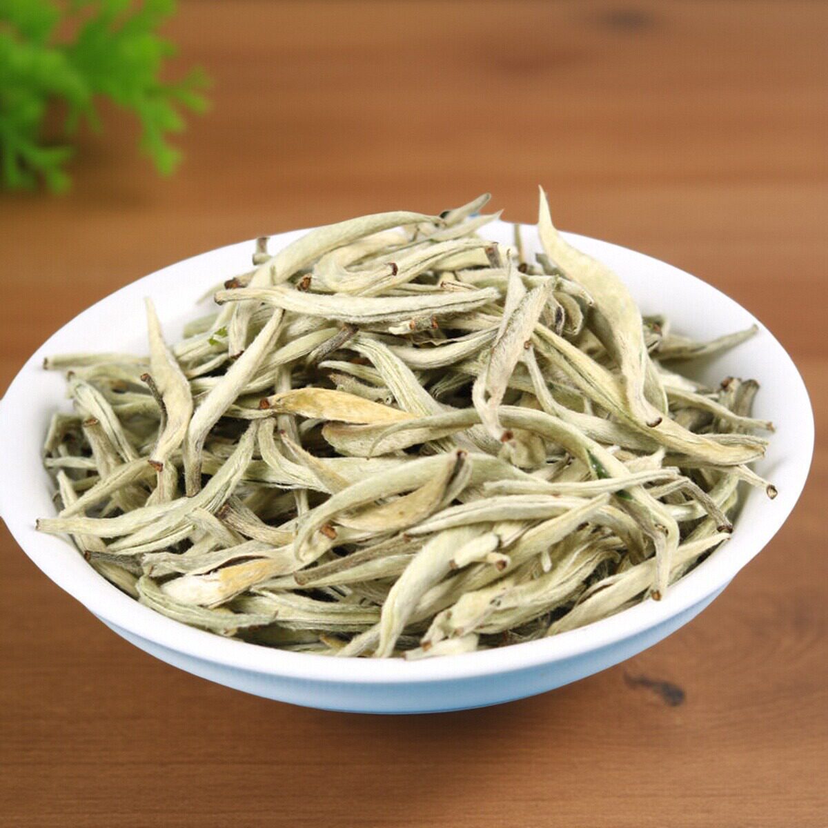 白毫单芽月光小芽500g云南白香茶