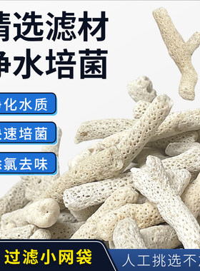 鱼缸珊瑚骨滤材天然珊瑚石过滤