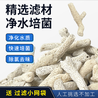鱼缸珊瑚骨滤材天然珊瑚石过滤