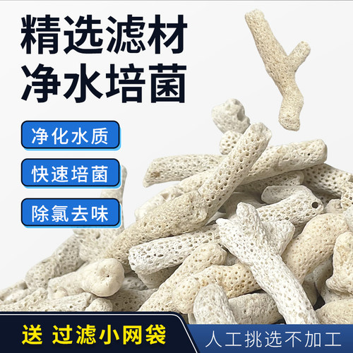 鱼缸珊瑚骨滤材天然珊瑚石过滤