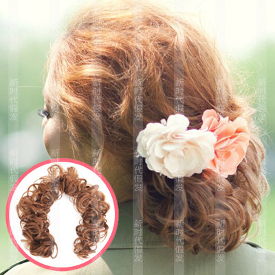 Extension cheveux - Chignon - Ref 236470 Image 1