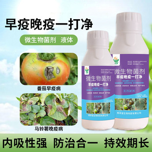 早疫晚疫病一打净番茄早疫病西红柿晚疫病专用辣椒疫病杀菌剂正品