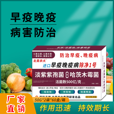 早晚疫病杀菌剂北美农大效果好