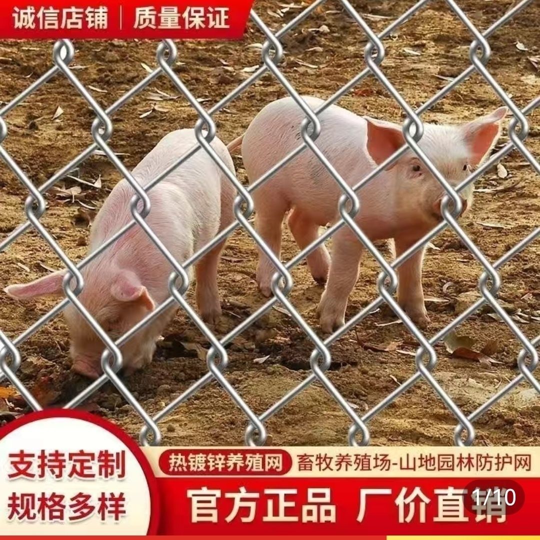 镀锌铁丝网围栏护栏网