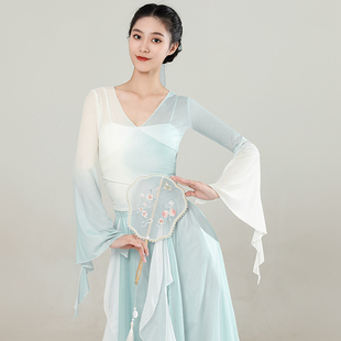 古典舞蹈服女飘逸纱衣中国舞练功服女身韵仙气弹力上衣演出服古风