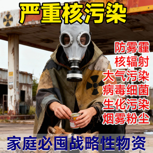 防毒面具核辐射防核工业污染防核全面具全面罩军工级防毒用品装 备