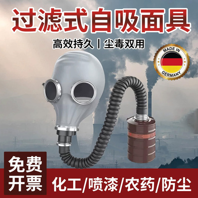 防毒面具苍蝇头全面罩