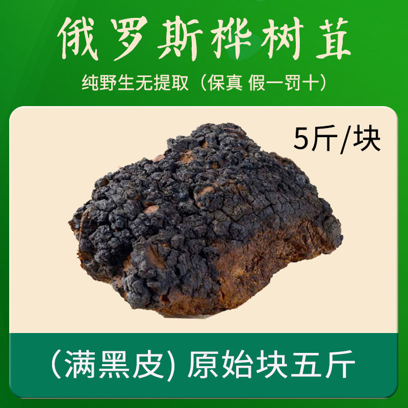 桦树茸俄罗斯进口长白山野生正品白桦树茸黑金颗粒切块的茶特产