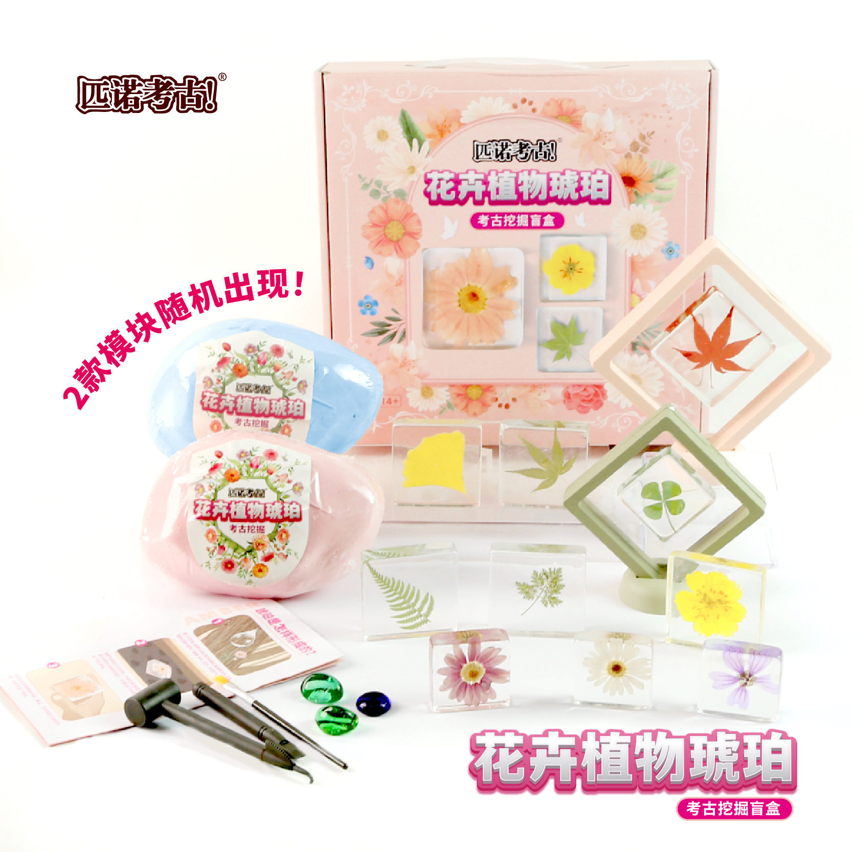 匹诺考古挖掘化石标本琥珀花卉植物盲盒男女孩手工寻宝石宝藏玩具